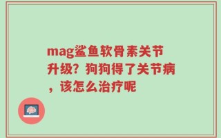 mag鲨鱼软骨素关节升级？狗狗得了关节病，该怎么治疗呢