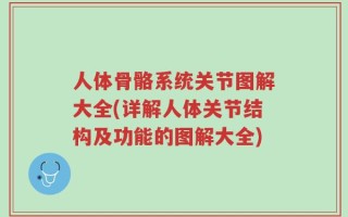 人体骨骼系统关节图解大全(详解人体关节结构及功能的图解大全)