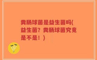 粪肠球菌是益生菌吗(益生菌？粪肠球菌究竟是不是！)