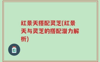 红景天搭配灵芝(红景天与灵芝的搭配潜力解析)