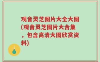 观音灵芝图片大全大图(观音灵芝图片大合集，包含高清大图欣赏资料)