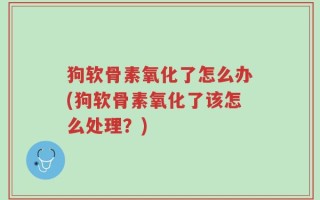 狗软骨素氧化了怎么办(狗软骨素氧化了该怎么处理？)