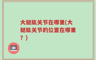 大腿肱关节在哪里(大腿肱关节的位置在哪里？)