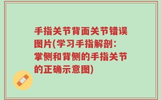 手指关节背面关节错误图片(学习手指解剖：掌侧和背侧的手指关节的正确示意图)