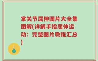 掌关节屈伸图片大全集图解(详解手指屈伸运动：完整图片教程汇总)