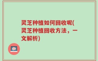 灵芝种植如何回收呢(灵芝种植回收方法，一文解析)