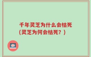 千年灵芝为什么会枯死(灵芝为何会枯死？)