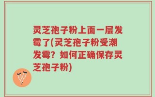 灵芝孢子粉上面一层发霉了(灵芝孢子粉受潮发霉？如何正确保存灵芝孢子粉)