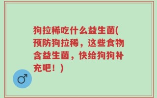 狗拉稀吃什么益生菌(预防狗拉稀，这些食物含益生菌，快给狗狗补充吧！)