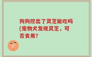 狗狗挖出了灵芝能吃吗(宠物犬发现灵芝，可否食用？