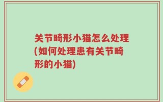 关节畸形小猫怎么处理(如何处理患有关节畸形的小猫)