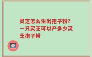 灵芝怎么生出孢子粉？一只灵芝可以产多少灵芝孢子粉