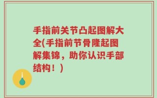 手指前关节凸起图解大全(手指前节骨隆起图解集锦，助你认识手部结构！)