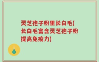 灵芝孢子粉里长白毛(长白毛富含灵芝孢子粉提高免疫力)