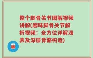 整个脚骨关节图解视频讲解(趣味脚骨关节解析视频：全方位详解浅表及深层骨骼构造)