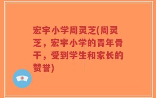 宏宇小学周灵芝(周灵芝，宏宇小学的青年骨干，受到学生和家长的赞誉)