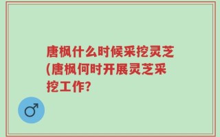唐枫什么时候采挖灵芝(唐枫何时开展灵芝采挖工作？