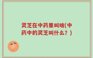 灵芝在中药里叫啥(中药中的灵芝叫什么？)