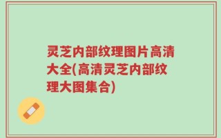 灵芝内部纹理图片高清大全(高清灵芝内部纹理大图集合)