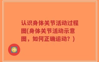 认识身体关节活动过程图(身体关节活动示意图，如何正确运动？)