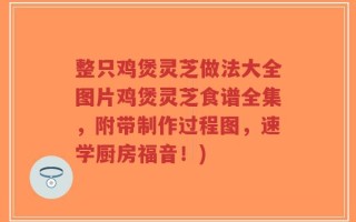整只鸡煲灵芝做法大全图片鸡煲灵芝食谱全集，附带制作过程图，速学厨房福音！)