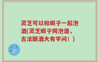 灵芝可以和蝎子一起泡酒(灵芝蝎子同泡酒，古法酿酒大有学问！)