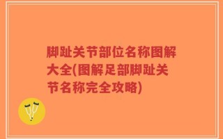 脚趾关节部位名称图解大全(图解足部脚趾关节名称完全攻略)
