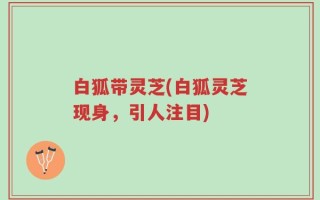 白狐带灵芝(白狐灵芝现身，引人注目)