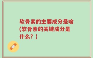 软骨素的主要成分是啥(软骨素的关键成分是什么？)