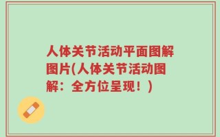 人体关节活动平面图解图片(人体关节活动图解：全方位呈现！)