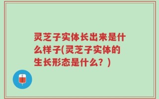 灵芝子实体长出来是什么样子(灵芝子实体的生长形态是什么？)