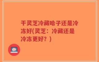干灵芝冷藏哈子还是冷冻好(灵芝：冷藏还是冷冻更好？)