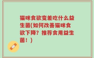 猫咪食欲变差吃什么益生菌(如何改善猫咪食欲下降？推荐食用益生菌！)