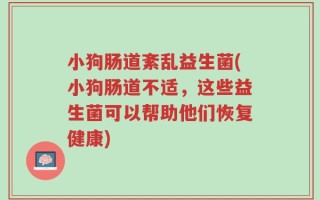 小狗肠道紊乱益生菌(小狗肠道不适，这些益生菌可以帮助他们恢复健康)