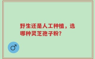野生还是人工种植，选哪种灵芝孢子粉？