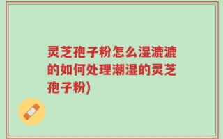灵芝孢子粉怎么湿漉漉的如何处理潮湿的灵芝孢子粉)