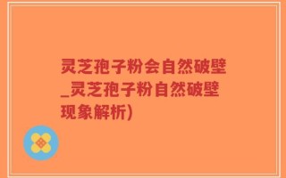 灵芝孢子粉会自然破壁_灵芝孢子粉自然破壁现象解析)