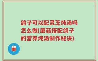 鸽子可以配灵芝炖汤吗怎么做(蘑菇搭配鸽子的营养炖汤制作秘诀)