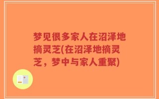 梦见很多家人在沼泽地摘灵芝(在沼泽地摘灵芝，梦中与家人重聚)