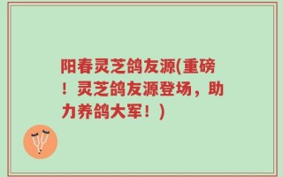 阳春灵芝鸽友源(重磅！灵芝鸽友源登场，助力养鸽大军！)