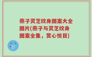 燕子灵芝纹身图案大全图片(燕子与灵芝纹身图案全集，赏心悦目)