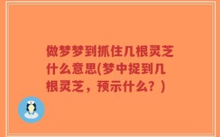 做梦梦到抓住几根灵芝什么意思(梦中捉到几根灵芝，预示什么？)