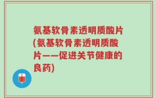 氨基软骨素透明质酸片(氨基软骨素透明质酸片——促进关节健康的良药)