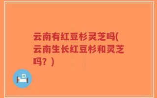 云南有红豆杉灵芝吗(云南生长红豆杉和灵芝吗？)