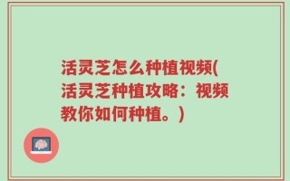 活灵芝怎么种植视频(活灵芝种植攻略：视频教你如何种植。)