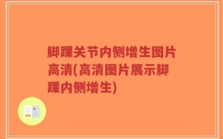 脚踝关节内侧增生图片高清(高清图片展示脚踝内侧增生)