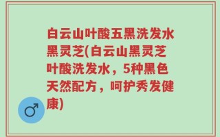 白云山叶酸五黑洗发水黑灵芝(白云山黑灵芝叶酸洗发水，5种黑色天然配方，呵护秀发健康)