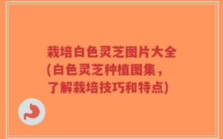栽培白色灵芝图片大全(白色灵芝种植图集，了解栽培技巧和特点)