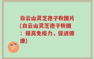 白云山灵芝孢子粉图片(白云山灵芝孢子粉图：提高免疫力，促进健康)