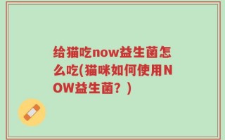 给猫吃now益生菌怎么吃(猫咪如何使用NOW益生菌？)